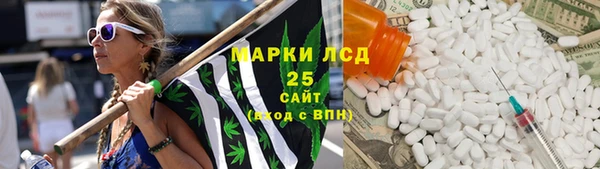 мяу мяу мука Кукмор
