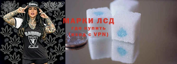 индика Ступино