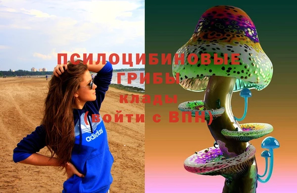 мяу мяу мука Кукмор