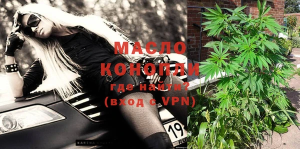 мдпв Краснослободск