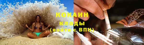 мяу мяу мука Кукмор