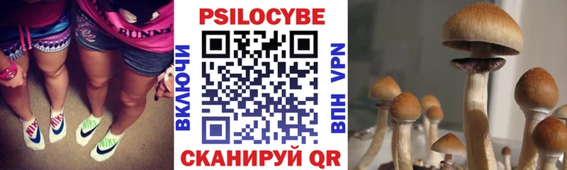 Галлюциногенные грибы Magic Shrooms  как найти закладки  Харабали 